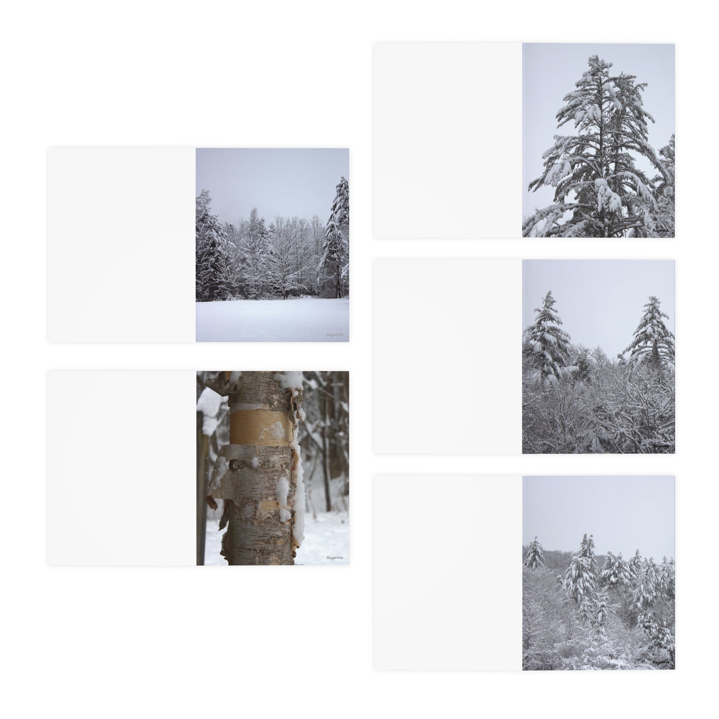 "Winter" Multi-Design Greeting Cards (5-Pack)